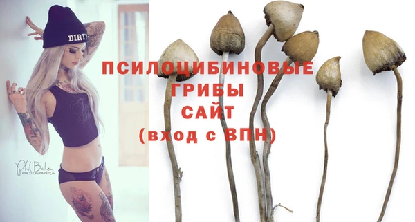 мяу мяу мука Алексеевка