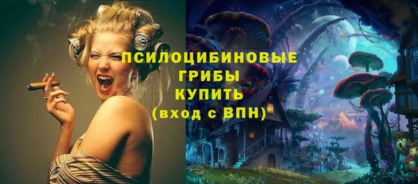 Альфа ПВП Алексин