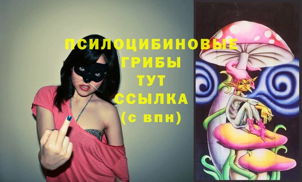 Альфа ПВП Алексин