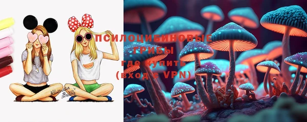 прущая мука Лабытнанги
