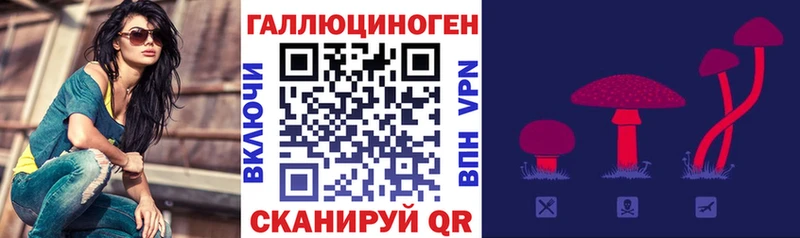 как найти закладки  Муравленко  Галлюциногенные грибы MAGIC MUSHROOMS 